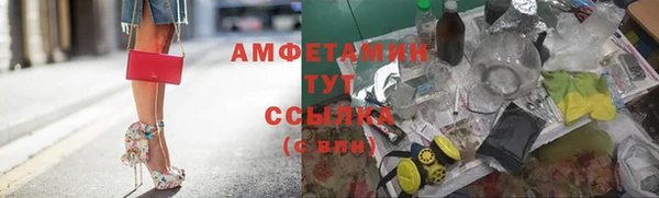 прущие грибы Навашино