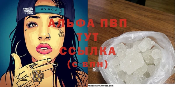 прущие крисы Надым