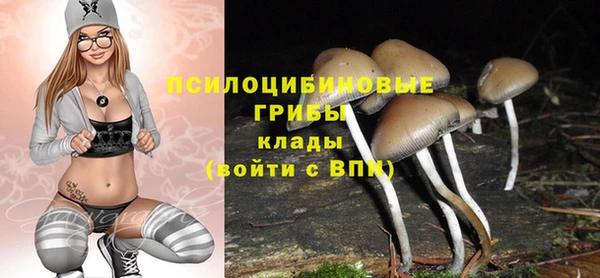 прущие грибы Навашино