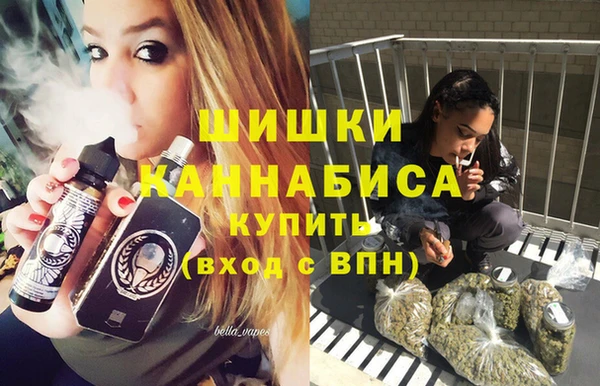 хмурый Гусь-Хрустальный