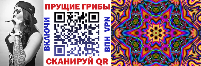 Галлюциногенные грибы Psilocybe  Анапа 