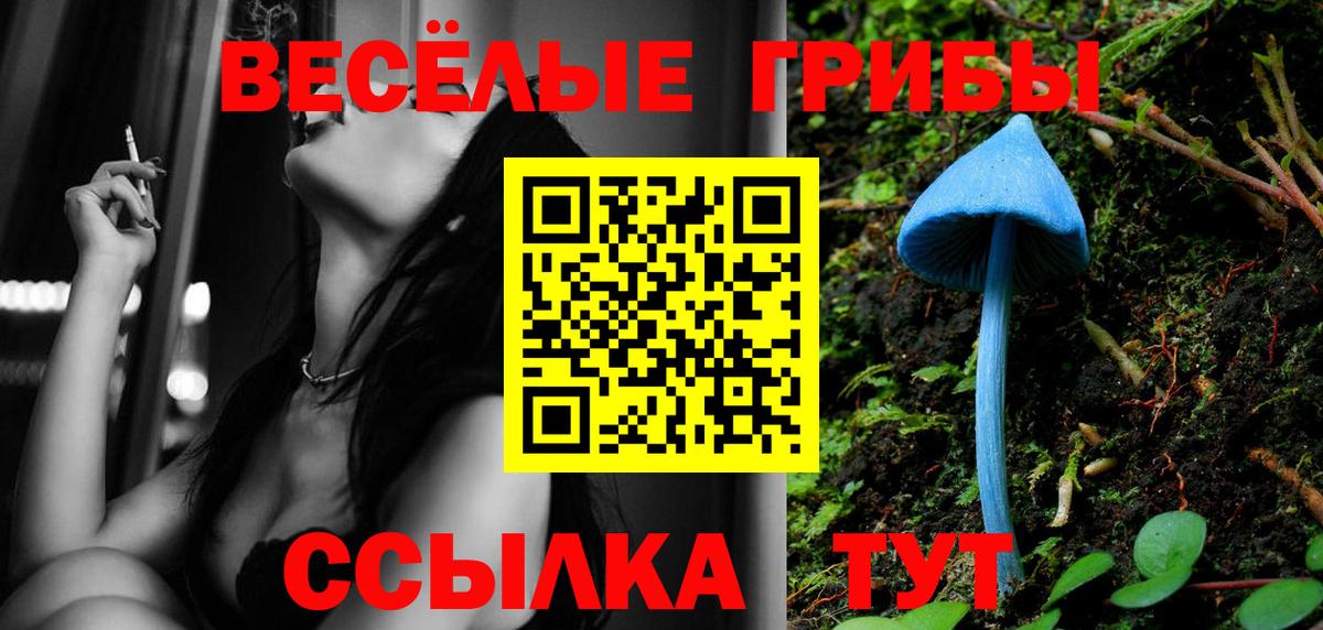 Анапа  Галлюциногенные грибы прущие грибы  Вход с VPN 
