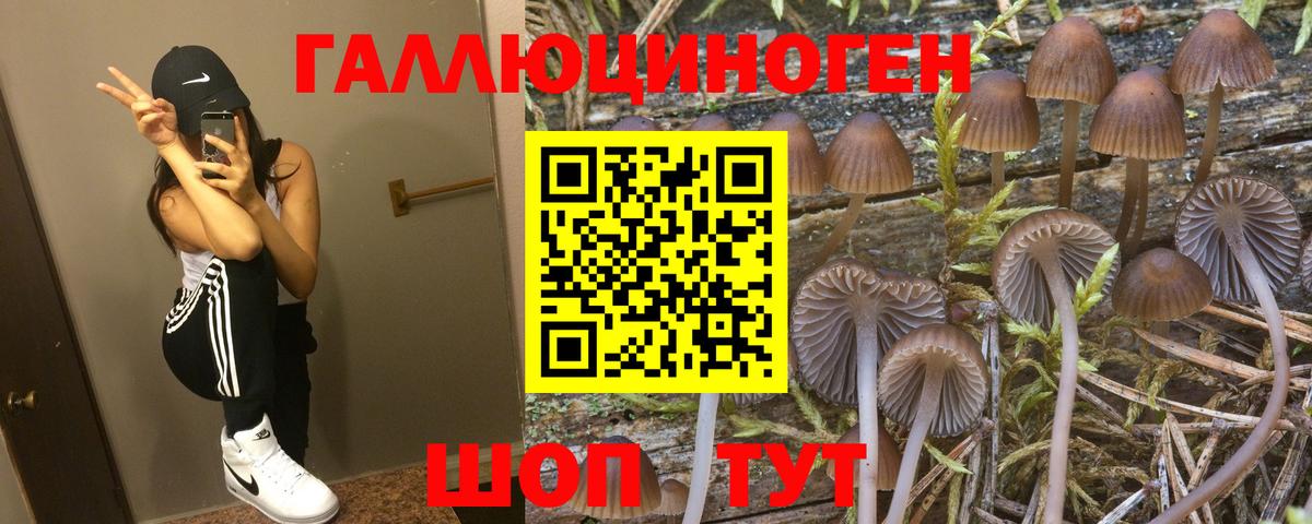 Анапа  Псилоцибиновые грибы Magic Shrooms  Вход с VPN 