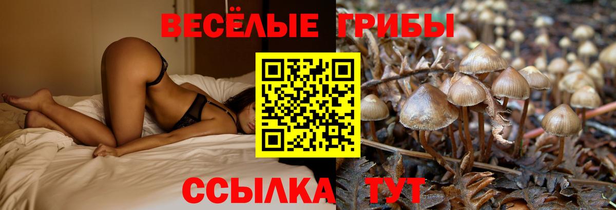 Псилоцибиновые грибы мицелий Анапа